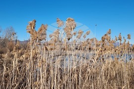 Село Мечкарево - Мечкаревски дупки - изглед