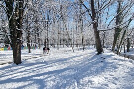 Плевен - парк "Кайлъка" - зима