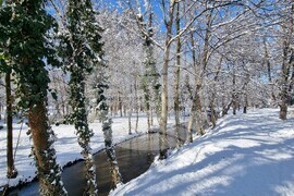 Плевен - парк "Кайлъка" - зима