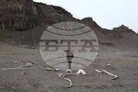 Scientists Begin Work at Liverpool Beach, Antarctica