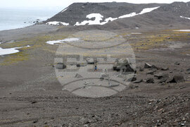 Scientists Begin Work at Liverpool Beach, Antarctica