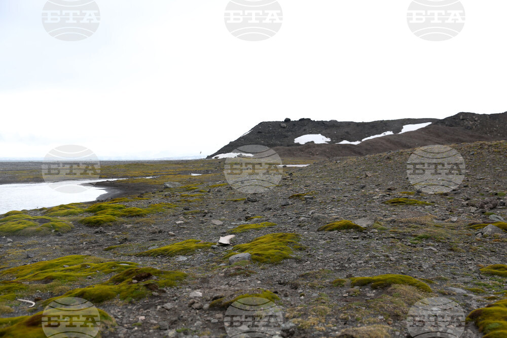 Scientists Begin Work at Liverpool Beach, Antarctica