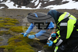 Scientists Begin Work at Liverpool Beach, Antarctica