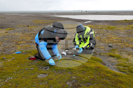 Scientists Begin Work at Liverpool Beach, Antarctica