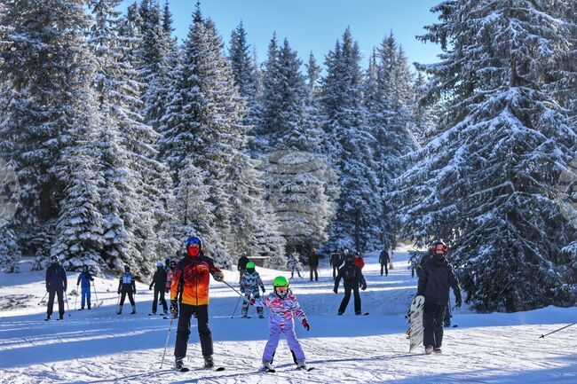 Pamporovo Ski Resort Continues to Attract Growing Number of Tourists
