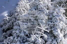 Пампорово - зима - туризъм