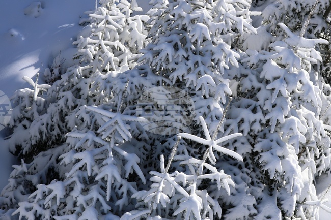 Прогноза за времето