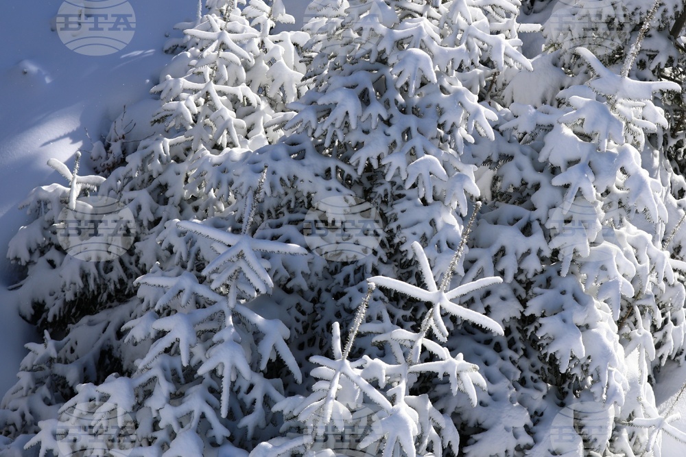 Пампорово - зима - туризъм