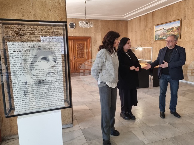 Велико Търново - инсталация - проект