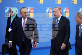 Испания - НАТО - Реджеп Таип Ердоган -  Мевлют Чавушоглу