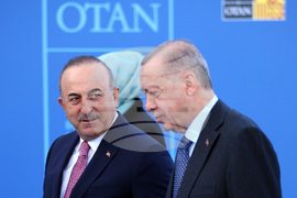 Испания - НАТО - Реджеп Таип Ердоган -  Мевлют Чавушоглу