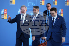 Испания - НАТО - Петър Фиала