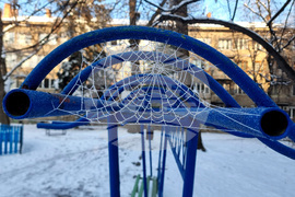 Студено време