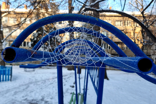 Студено време