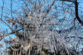 Студено време