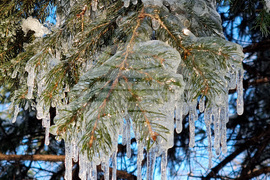 Студено време