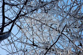 Студено време