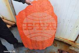 Bulgarian Research Ship Finds Plane Parts in Livingston Island Area