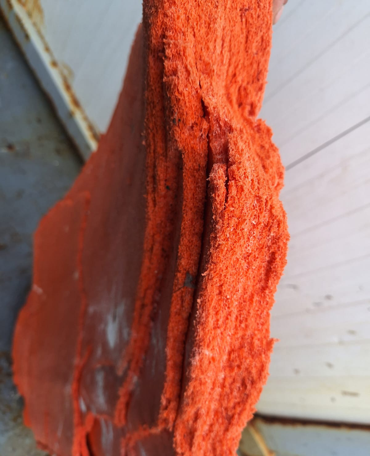 Bulgarian Research Ship Finds Plane Parts in Livingston Island Area