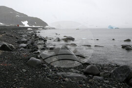 Scientists from 32nd Bulgarian Antarctic Expedition Deliver Provisions to Argentine Naval Base, Collect Granite Samples on Half Moon Island