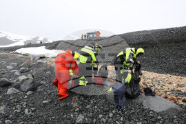 Scientists from 32nd Bulgarian Antarctic Expedition Deliver Provisions to Argentine Naval Base, Collect Granite Samples on Half Moon Island
