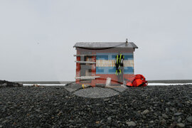 Scientists from 32nd Bulgarian Antarctic Expedition Deliver Provisions to Argentine Naval Base, Collect Granite Samples on Half Moon Island