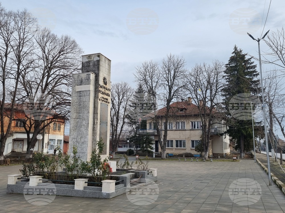 В две секции ще се състоят частичните местни избори за кмет в село Градище, община Левски