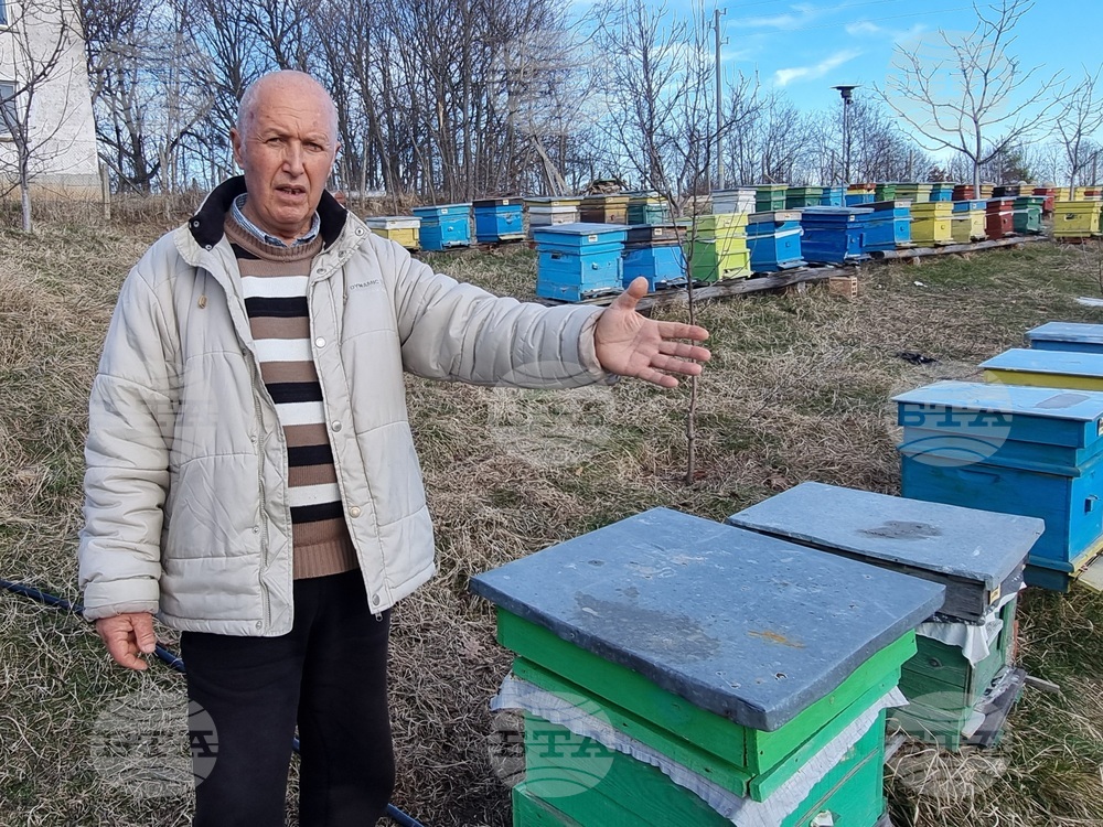Пчелата дава мед два месеца, а ние се грижим за нея 12, разказа фелдшерът-пчелар от ардинското село Брезен Мюмюн Хюсеин