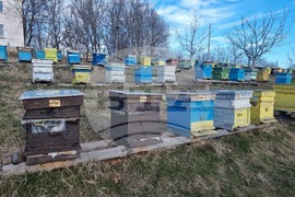 Село Брезен – пчелар