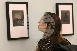 Алексей Титаренко  - изложба