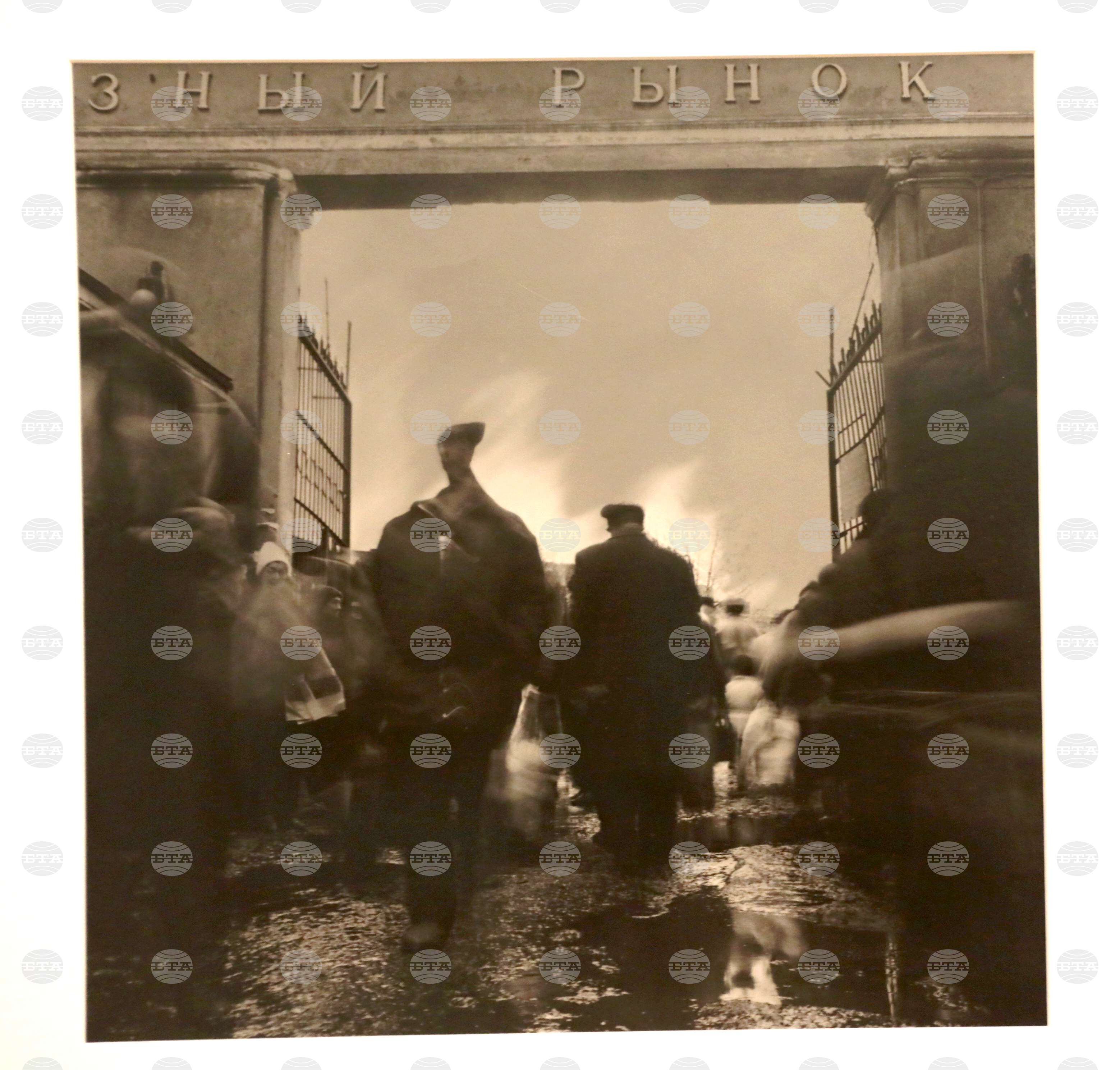 Алексей Титаренко  - изложба