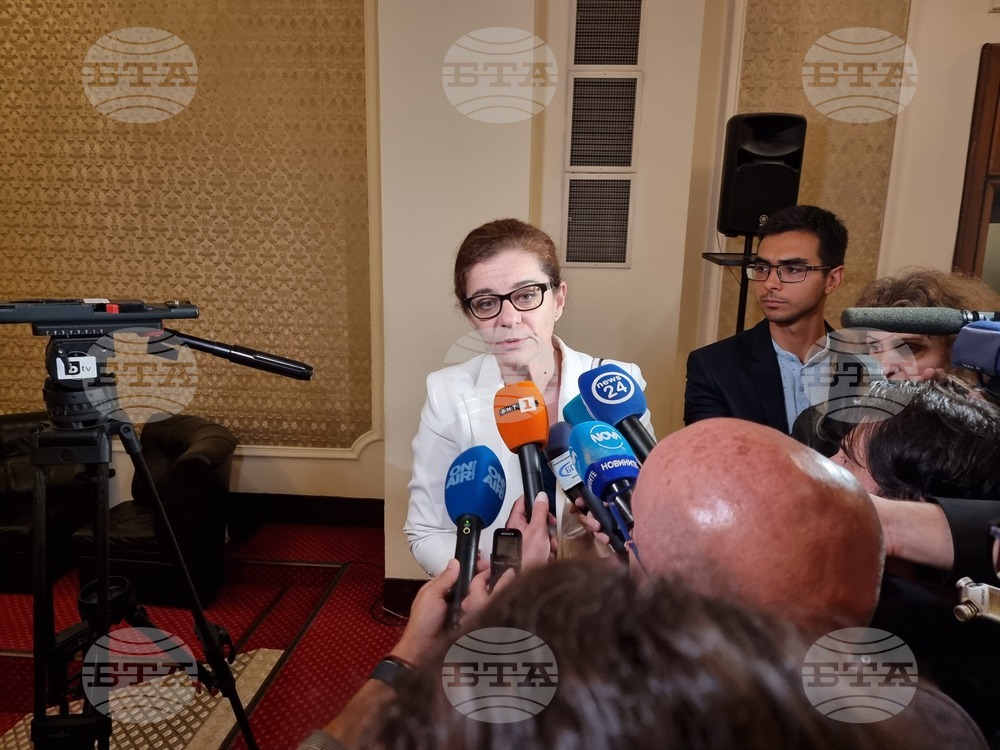 FM Genchovska: There Is No Second French Proposal