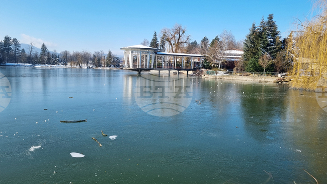 Търговище - парк “Борово око” 
