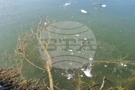 Търговище - парк “Борово око”