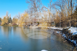 Търговище - парк “Борово око”