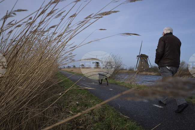 Потребителското доверие в Нидерландия леко се повишава след месеци на спад