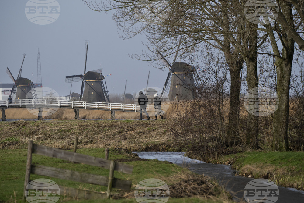 Вносните мита на Тръмп ще имат ограничено въздействие върху Нидерландия, сочи проучване
