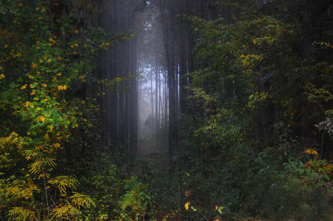 Община Хасково: „Вълшебството на сезоните“ 2024