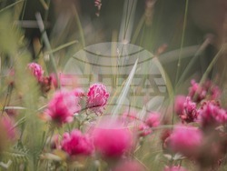 Снимка: Община Хасково 