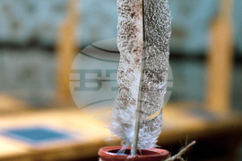 Банско - музей - взаимно училище - възстановка