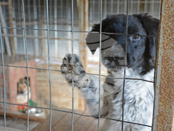 Снимка: Община Варна