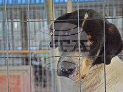 Снимка: Община Варна