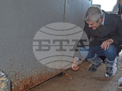 Снимка: Община Варна