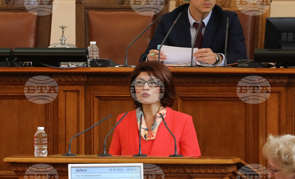 Парламент - Десислава Атанасова - заседание