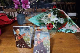 Видин - Мадлен Аспарухова - книга - представяне