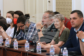 Парламент - дискусия - данъчна реформа