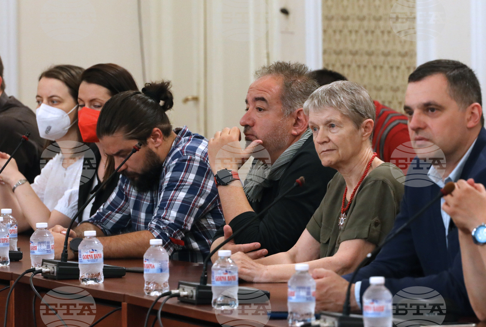 Парламент - дискусия - данъчна реформа