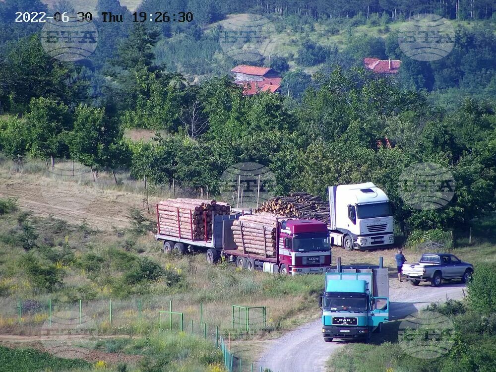 Горски инспектори проверяват сигнал за превоз на дървесина в количества, по-големи от декларираните