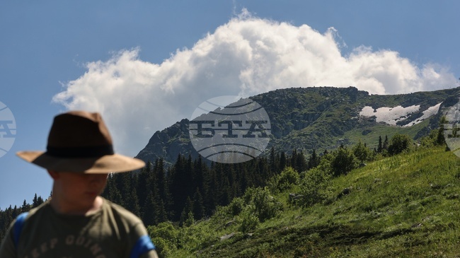 Министерството на околната среда и водите прекрати процедурата по Актуализация на Плана за управление на парк „Витоша“