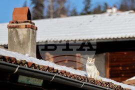 Копривщица - зима